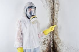 Why You Should Choose Our Mold Remediation Services in Wickerham Manor Fisher, PA